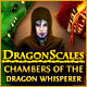 DragonScales: Chambers of the Dragon Whisperer Game