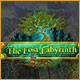 The Lost Labyrinth Game