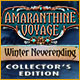 Download Amaranthine Voyage: Winter Neverending Collector's Edition game