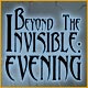 Download Beyond the Invisible: Evening game