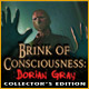 Brink of Consciousness: Dorian Gray Syndrome Collector's Edition Game