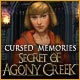 Cursed Memories: The Secret of Agony Creek Game