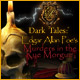 Dark Tales: Edgar Allan Poe's Murders in the Rue Morgue Collector's Edition Game