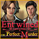 Download Entwined: The Perfect Murder game