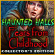 Download Haunted Halls: Fears from Childhood Collector's Edition game