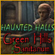 Download Haunted Halls: Green Hills Sanitarium game