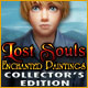 Lost Souls: Enchanted Paintings Collector's Edition Game