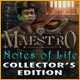 Maestro: Notes of Life Collector's Edition Game