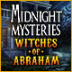 Download Midnight Mysteries: Witches of Abraham game