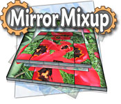 Mirror Mixup game