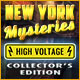 Download New York Mysteries: High Voltage Collector's Edition game