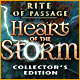 Download Rite of Passage: Heart of the Storm Collector's Edition game