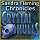Sandra Fleming Chronicles: Crystal Skulls Game