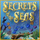 Download Secrets of the Seas game