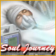Soul Journey Game