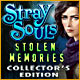 Download Stray Souls: Stolen Memories Collector's Edition game