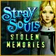 Download Stray Souls: Stolen Memories game