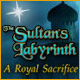 The Sultan's Labyrinth: A Royal Sacrifice Game