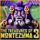 Download The Treasures of Montezuma 3 game