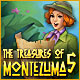 Download The Treasures of Montezuma 5 game