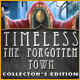 Timeless: The Forgotten Town Collector's Edition Game