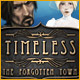 Timeless: The Forgotten Town Game