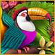 Download Twistingo: Bird Paradise game