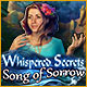 Download Whispered Secrets: Song of Sorrow game