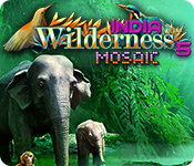 Wilderness Mosaic 5: India game