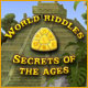 Download World Riddles: Secrets of the Ages game