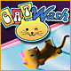 Cat Wash Game