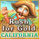 Rush for Gold: California Game