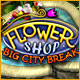 Flower Shop - Big City Break Game