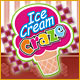 Ice Cream Craze Game