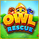 Owl Rescue Game