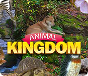 Animal Kingdom game