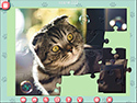 1001 Jigsaw Cute Cats screenshot