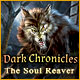 Dark Chronicles: The Soul Reaver Game