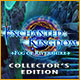 Download Enchanted Kingdom: Fog of Rivershire Collector's Edition game