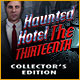 Download Haunted Hotel: The Thirteenth Collector's Edition game
