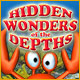 Hidden Wonders of the Depths Game