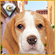 Download I Love Finding Pups Collector's Edition game