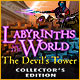 Download Labyrinths of the World: The Devil's Tower Collector's Edition game