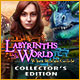 Download Labyrinths of the World: When Worlds Collide Collector's Edition game