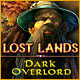 Download Lost Lands: Dark Overlord game