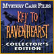 Download Mystery Case Files: Key to Ravenhearst Collector's Edition game