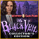 Download Mystery Case Files: The Black Veil Collector's Edition game