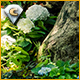 Download Nature Escapes Collector's Edition game