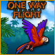 One Way Flight Game