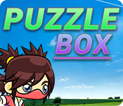 Puzzle Box game